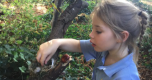 Forest School Fun Forest School Fun